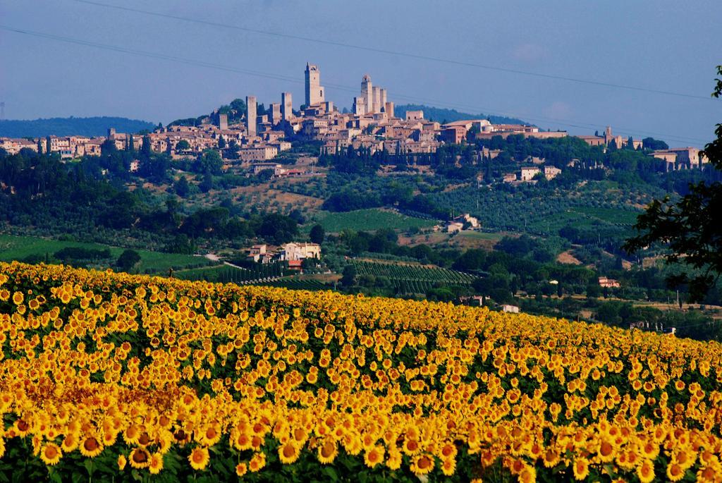 Il Palagione Villa San Gimignano Eksteriør bilde