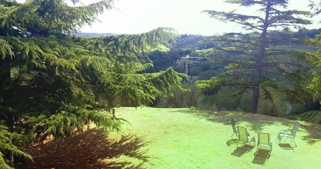Il Palagione Villa San Gimignano Eksteriør bilde