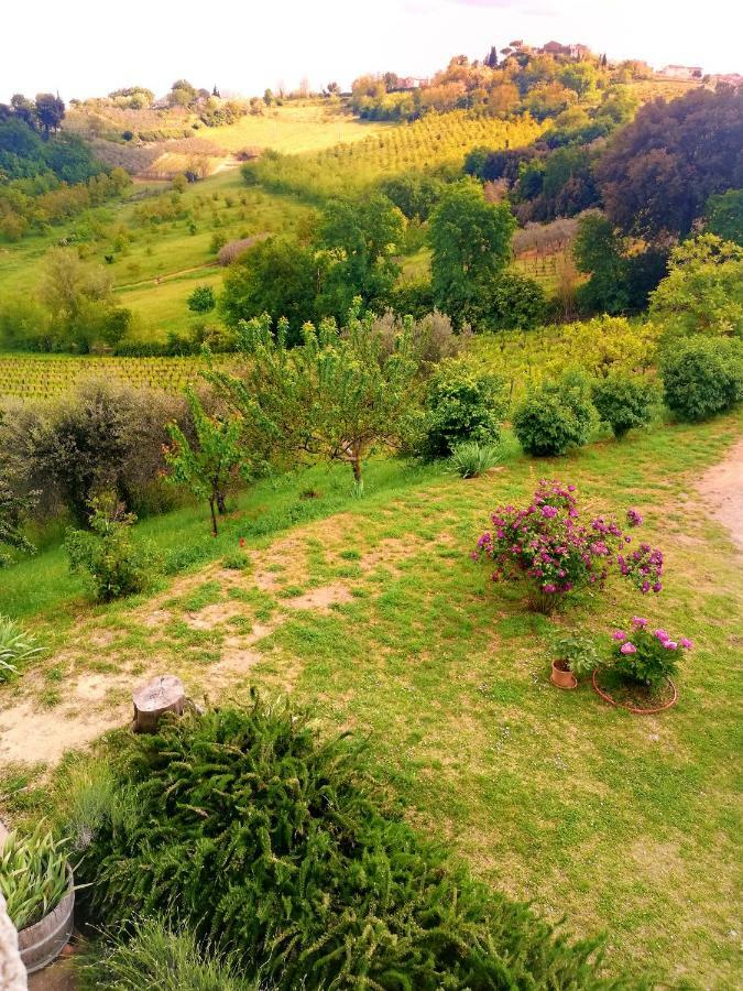 Il Palagione Villa San Gimignano Eksteriør bilde
