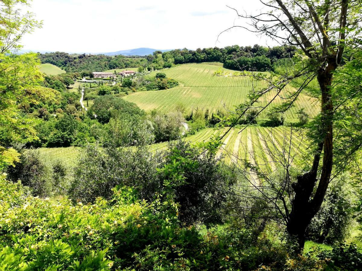 Il Palagione Villa San Gimignano Eksteriør bilde